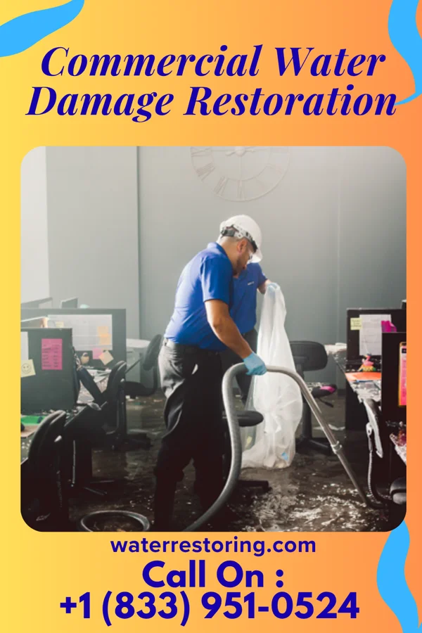 Commercial Water Damage Restoration in Silkworth, PA