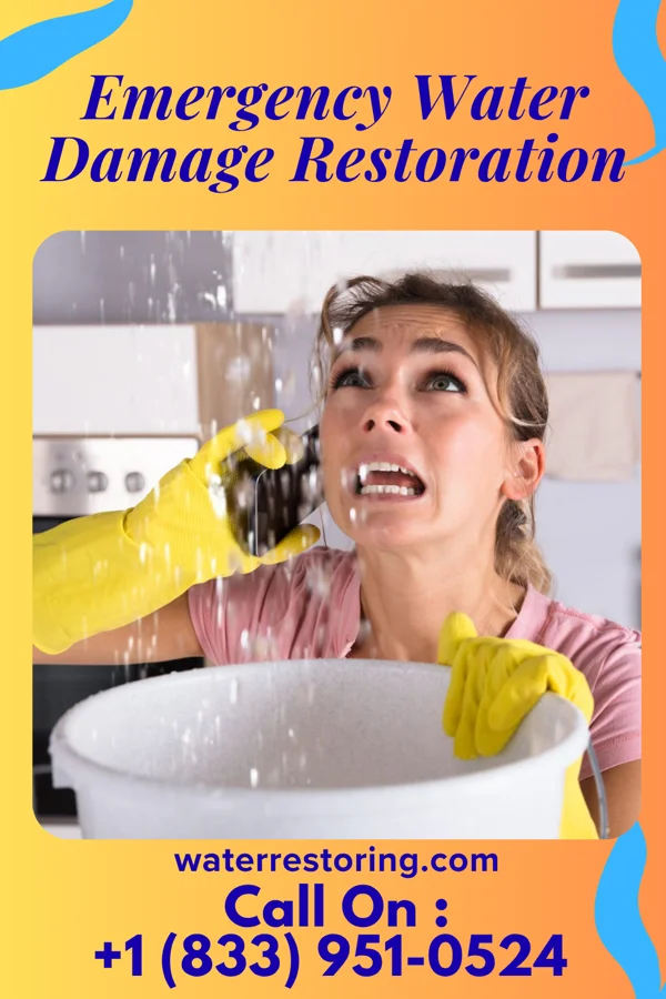 Emergency Water Damage Restoration in Silkworth, PA