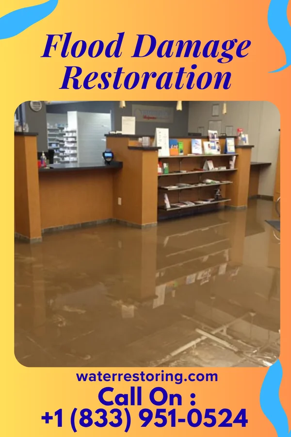 Flood Damage Restoration in Silkworth, PA
