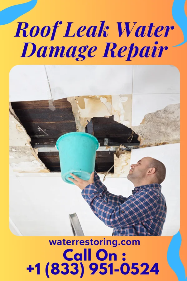 Roof Leak Water Damage Repair in Silkworth, PA