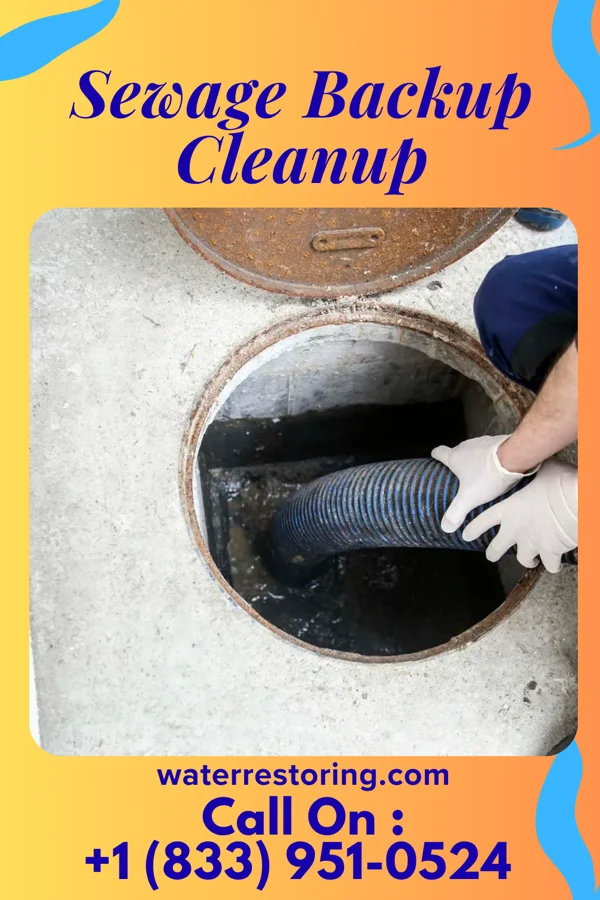 Sewage Backup Cleanup in Silkworth, PA